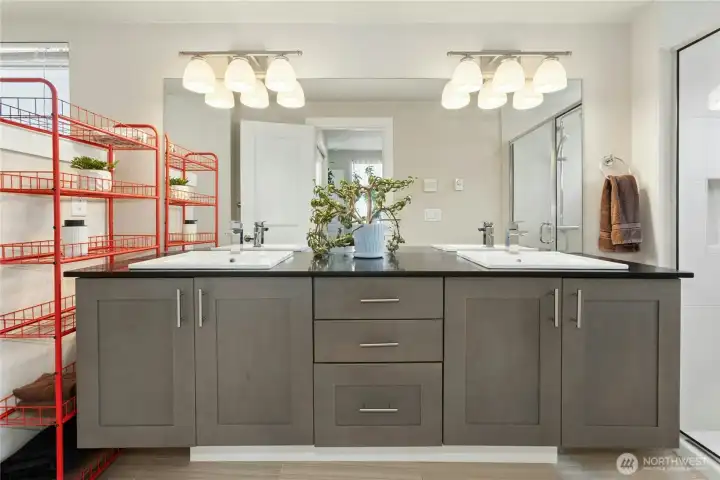 Dual sinks Dual sinks