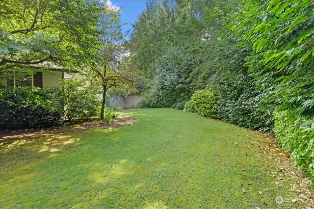 Large Front Yard with Privacy