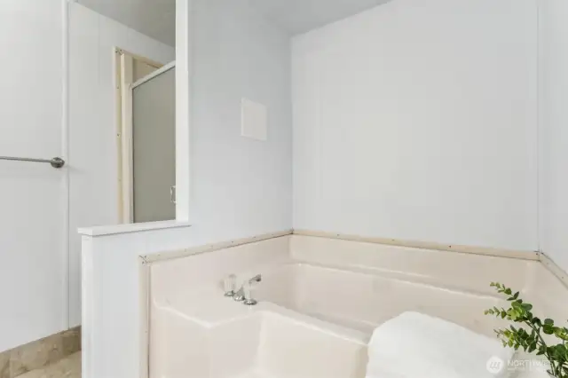 Tub and shower in primary