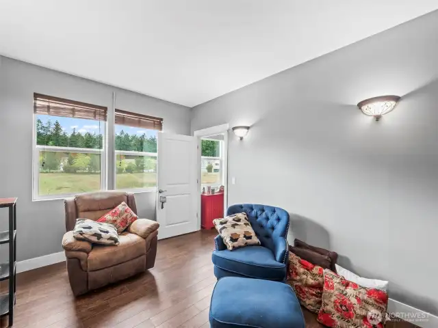 Theater room