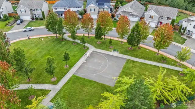 Neighborhood sports court