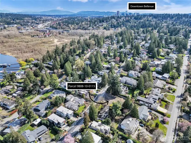 This aerial view showcases a scenic residential neighborhood with convenient access to the nearby Bellevue downtown area.