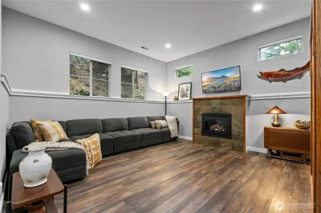Lower level den