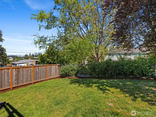 large, private, fully fenced yard