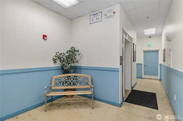 Entrance area