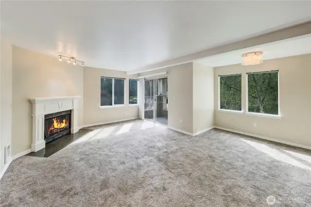 Light-filled great room