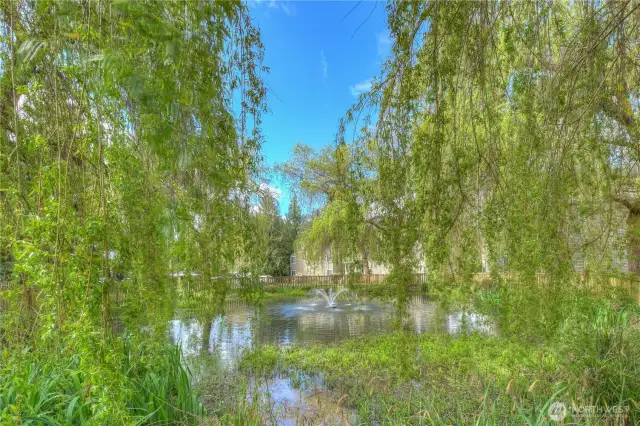 Serene water feature with fountain