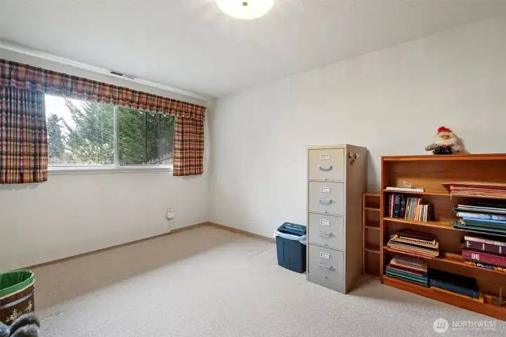 1 of 2 generous bedrooms in basement.