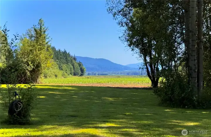 Summer view highlights open space and privacy surrounding the home. A setting designed for seasonal enjoyment year-round.