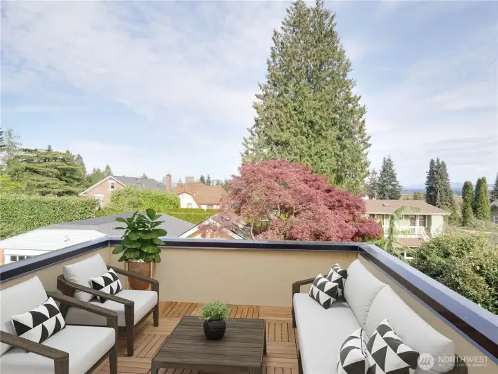 The deck with some virtual furnishings