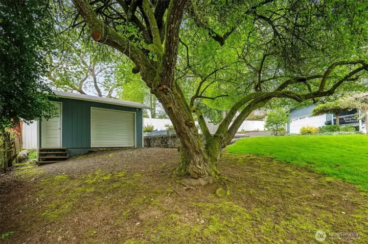 Detached outbuilding ideal for shop, storage, or hobbies