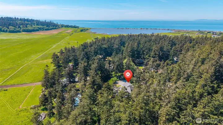 Aerial view looking west toward Swan Lake and Strait of Juan de Fuca.