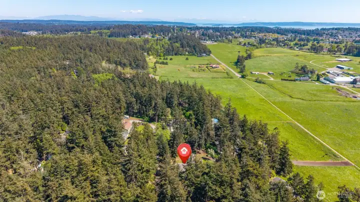Aerial view.