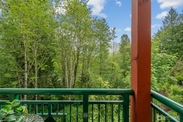 Primary Bedroom Balcony with Greenbelt View