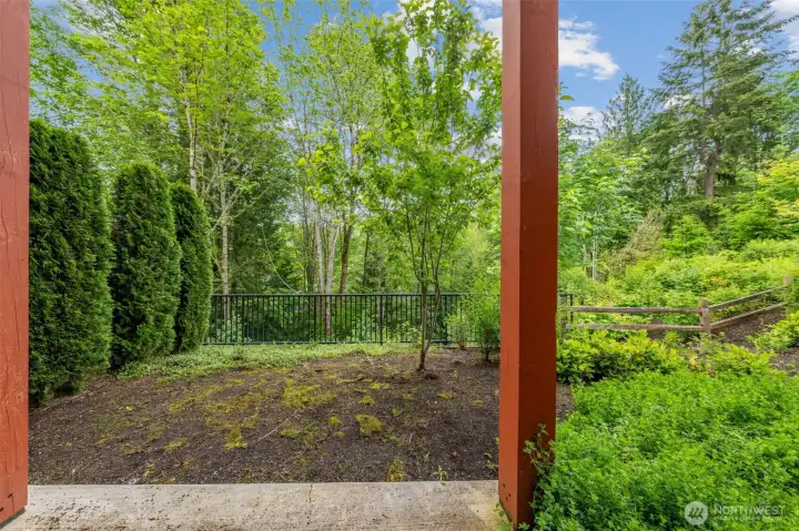 Downstairs Patio and Backyard against greenbelt