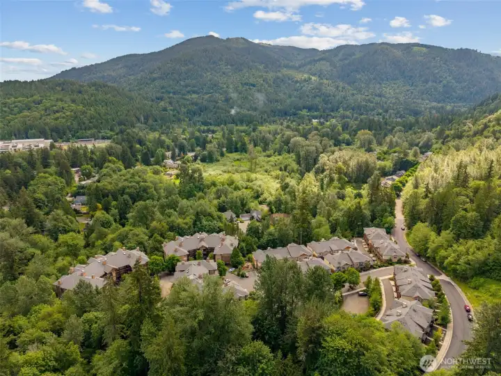 Views of Tiger Mountain