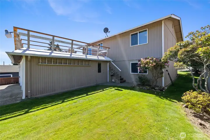 Backyard lawn