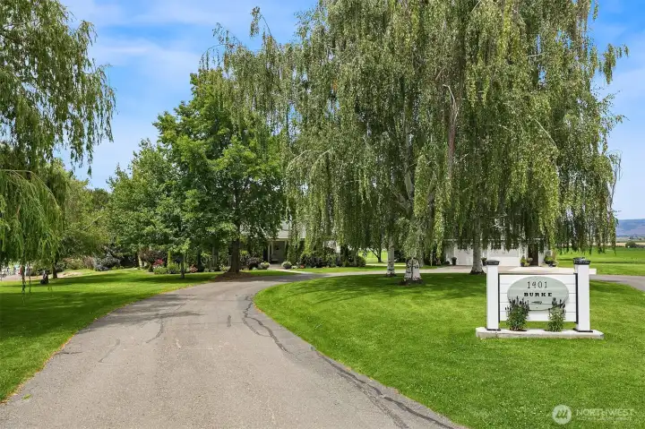 Mature old growth trees surround the home and guest cottage