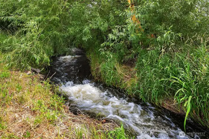 Kittitas Senior Water Rights