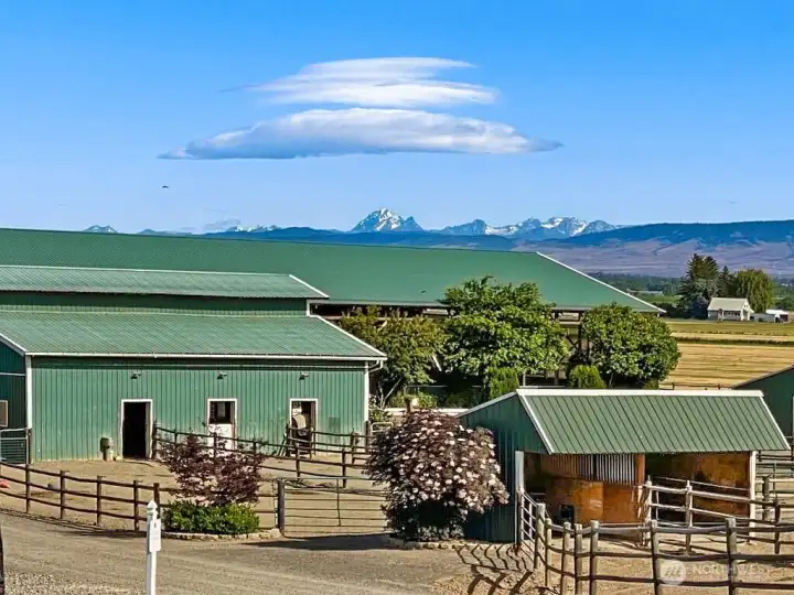 Multiple loafing barns each with paddocks