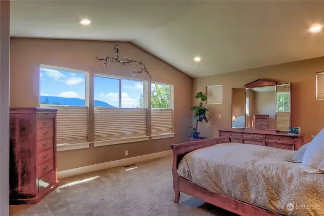 Spacious master bedroom with vaulted ceilings