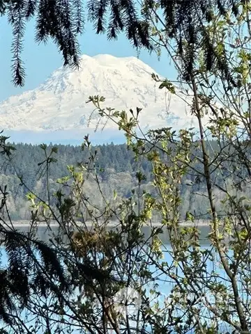 MT Rainier and Puget Sound Views