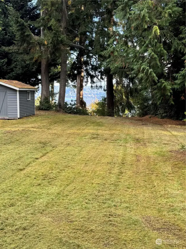 Large Flat Cleared Lot Planted with Grass and Shed