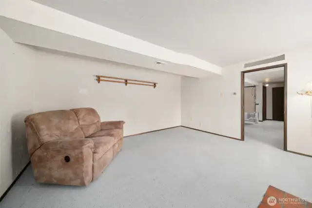 Family room in basement.