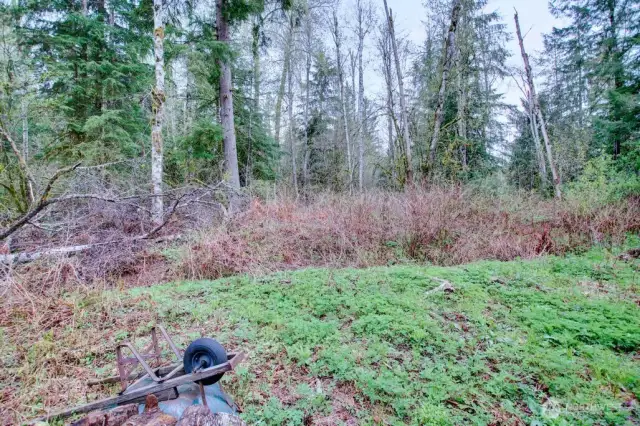 Greenspace view