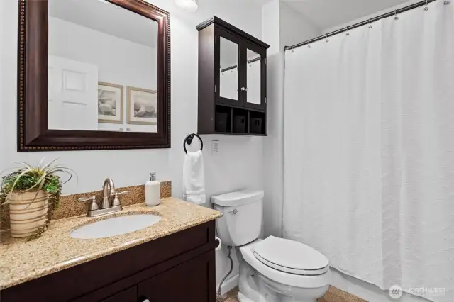 Lower level bathroom