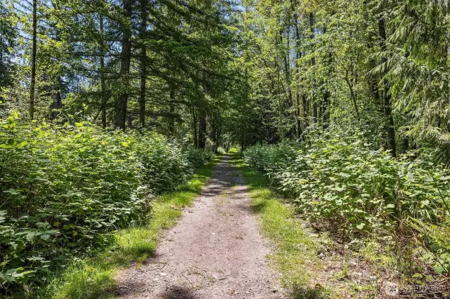 Neighborhood trail to river access.
