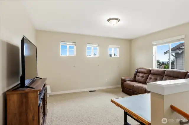 Loft - Bonus Room