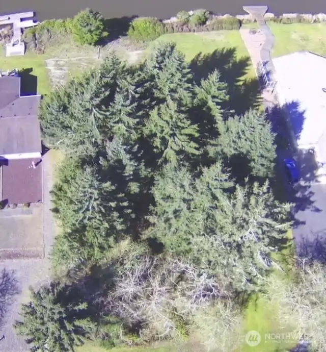 Aerial of trees on property giving privacy