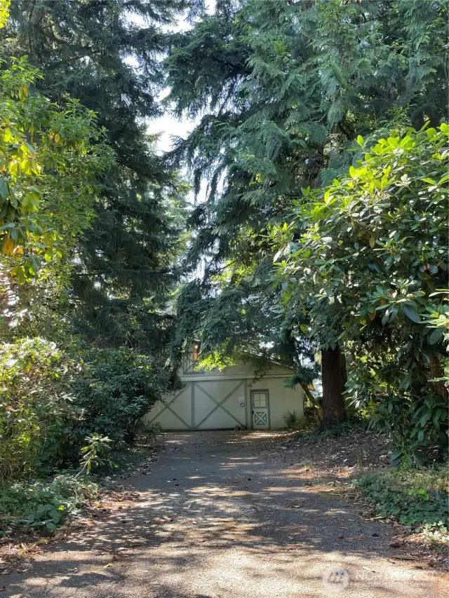 Driveway to "front" side of house.