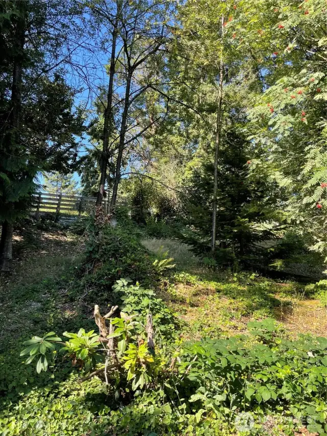 Expansive property