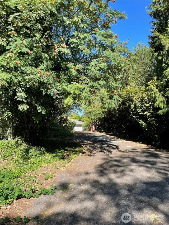 Expansive property