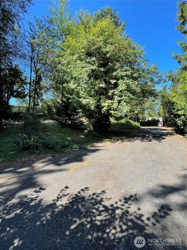 Expansive property
