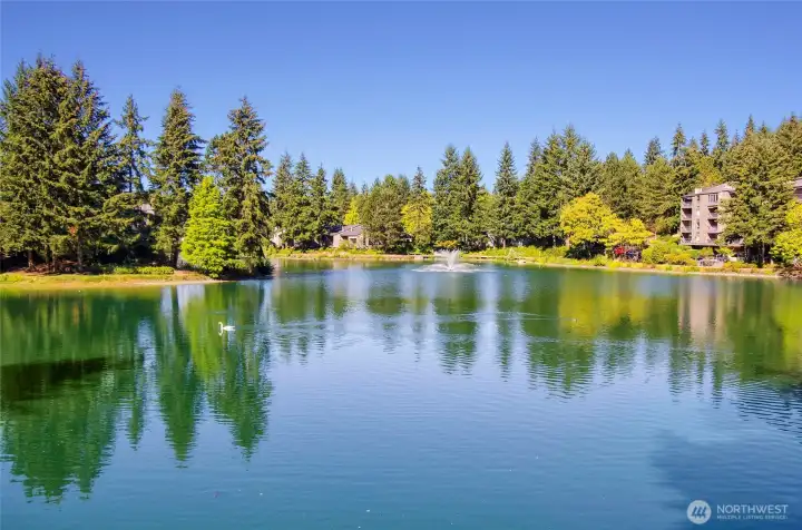 One of the many lakes