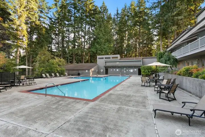 Clubhouse pool