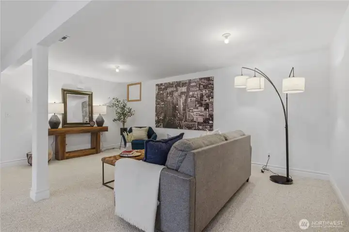 Lower Level Living Area