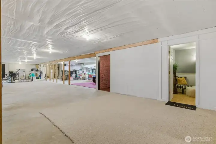 Unfinished Lower Level