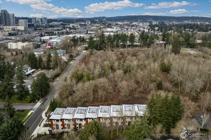 Nestled next to the Bellevue Botanical Gardens