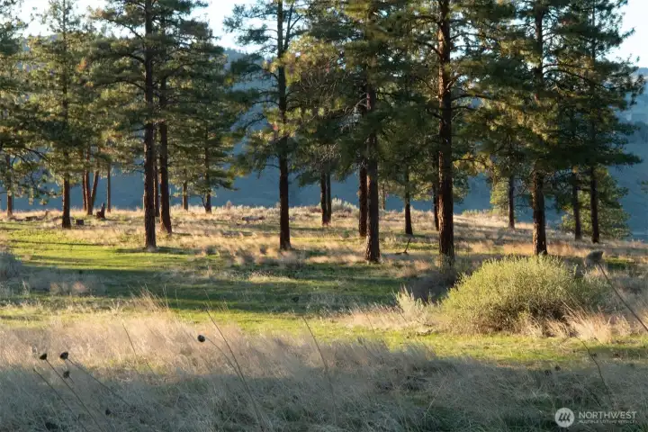 Even the natural landscape portions of the property have been thoughtfully tended and the promise of vistas beckons one to follow the winding trail through the pine grove.