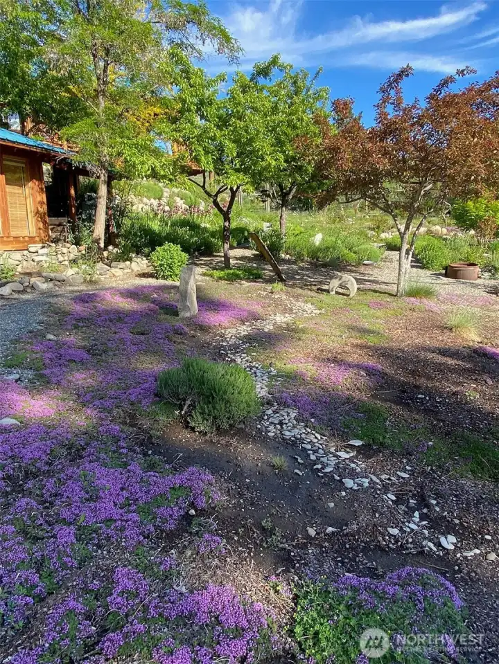 A summer view of the garden when it errupts in a wealth of color and fragrance.