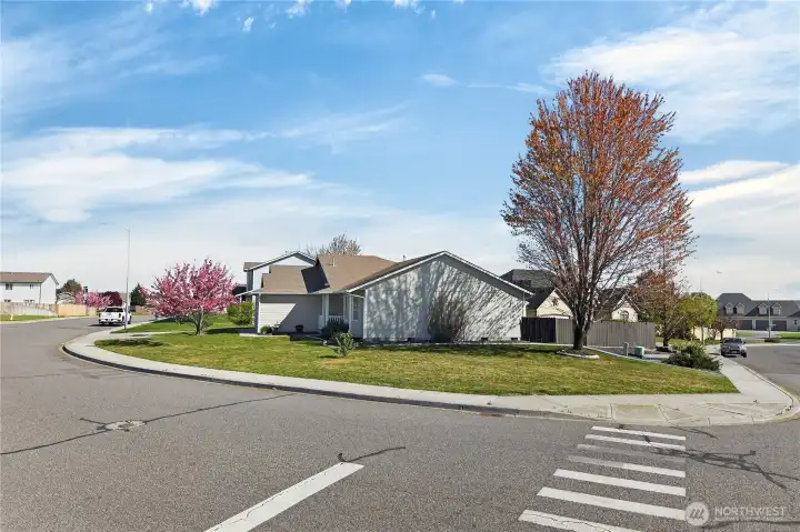 View from the opposite side of the road.