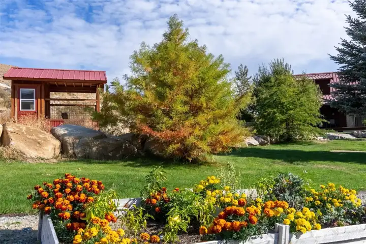 Versatile wood storage area, chicken coop, or dog kennel.