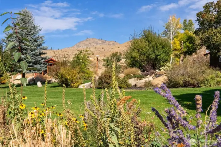 Green cool lawn feels amazing in the hot summer months.