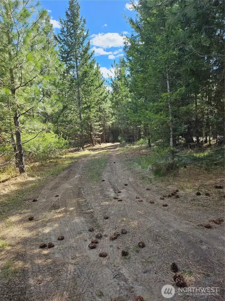 Road access to generator and well. First right after the main gate