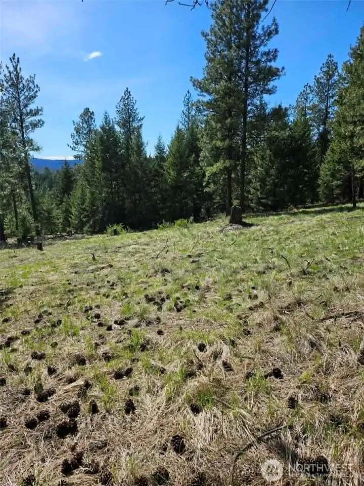 Slight slope but mostly  leveled ground