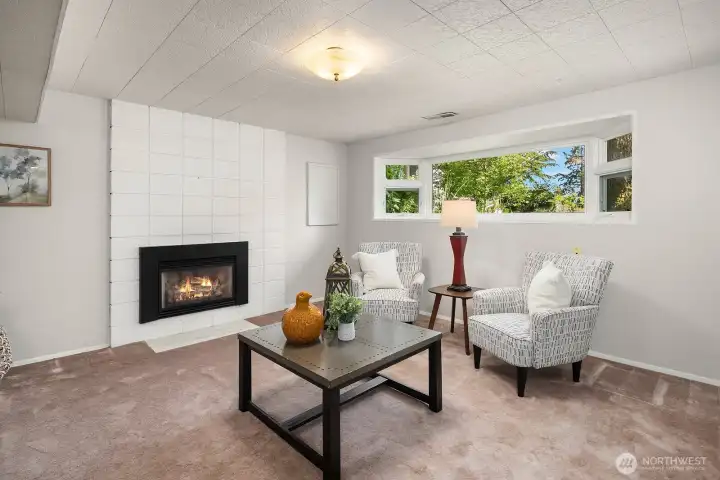 Lower level family room also has closet